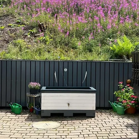 דירה Modernes Mitten Im Bayerischen Wald + Wlan Kostenfrei Schöfweg