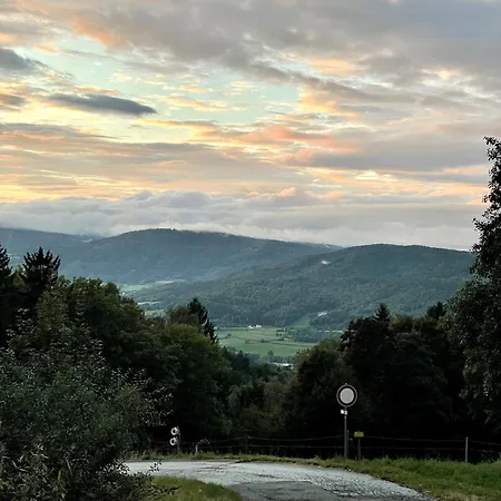 Modernes Mitten Im Bayerischen Wald + Wlan Kostenfrei דירה *